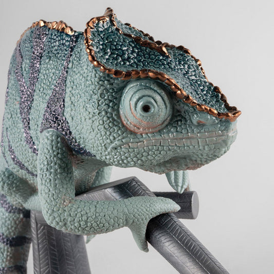 Colourful-Language-How-Chameleons-Use-Colour-to-Communicate FormFluent