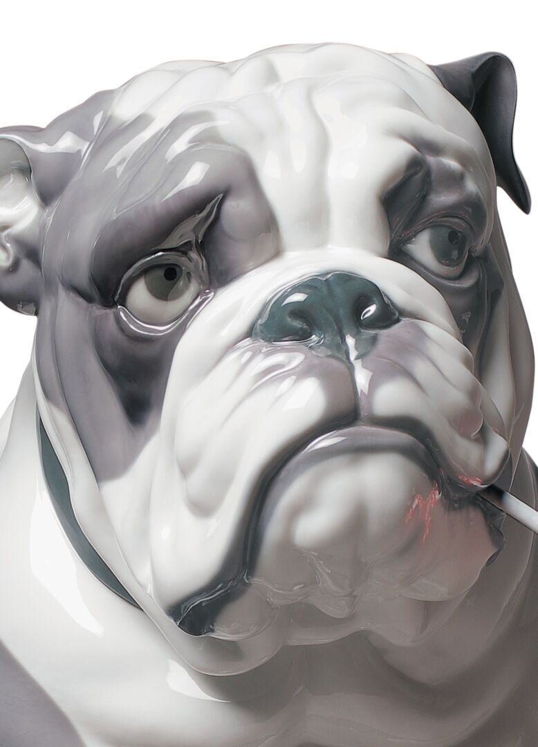 Buy Authentic Lladró Lladró Bulldog with Lollipop Dog Sculpture - FormFluent Sydney Australia