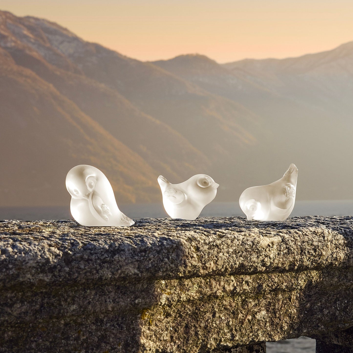 Lalique Piou-Piou bird head down Sculpture- Clear crystal Sculpture by Lalique at FormFluent