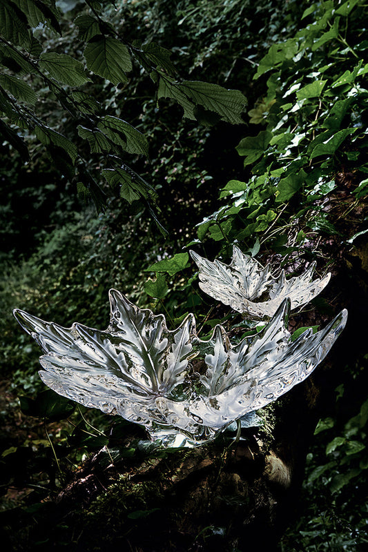 Buy Authentic Lalique Lalique Champs-Élysées Bowl Bowl - FormFluent Sydney Australia