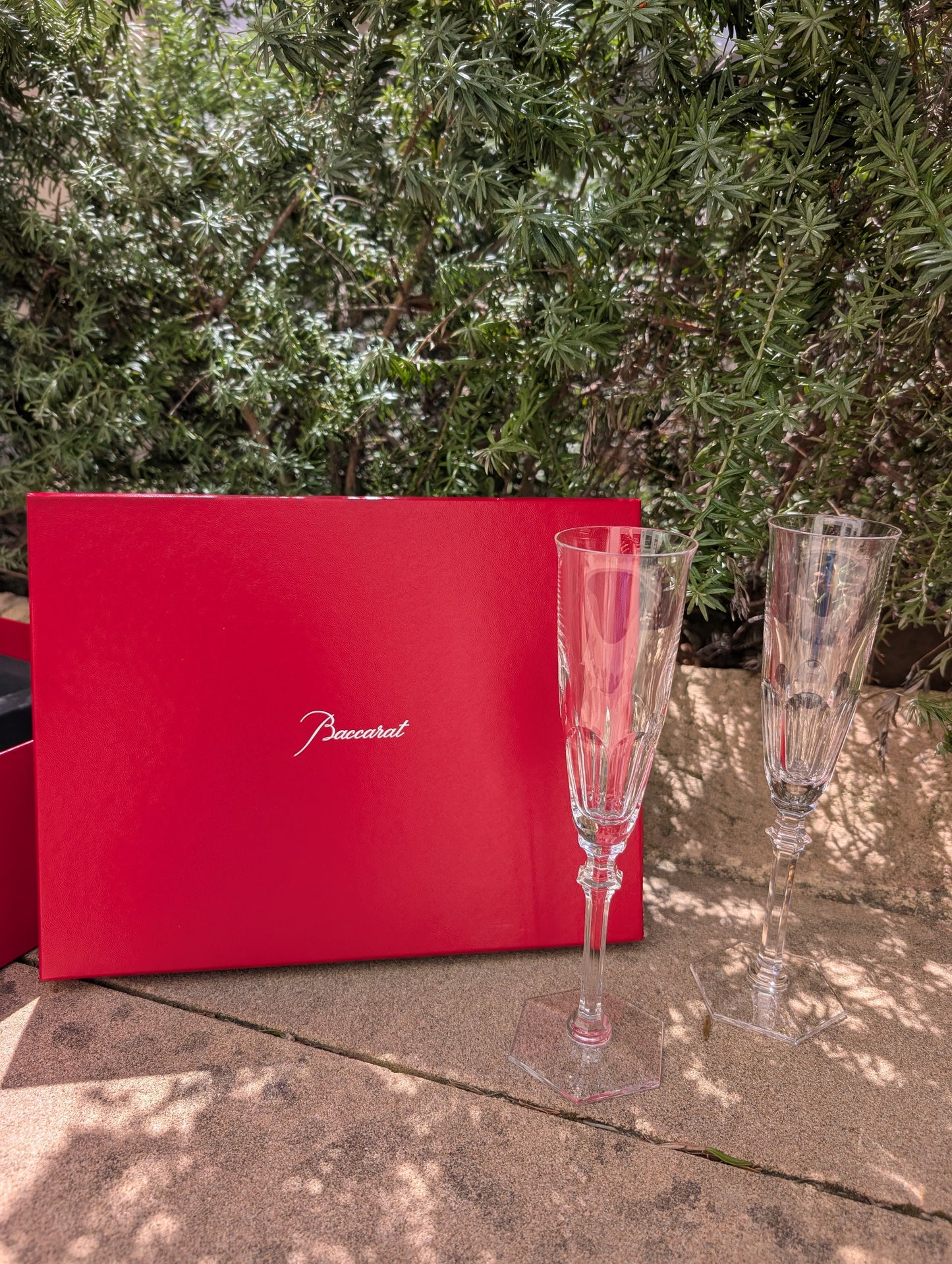 Buy Authentic Baccarat Baccarat Harcourt Eve Flutes Set of 2 Glassware - FormFluent Sydney Australia