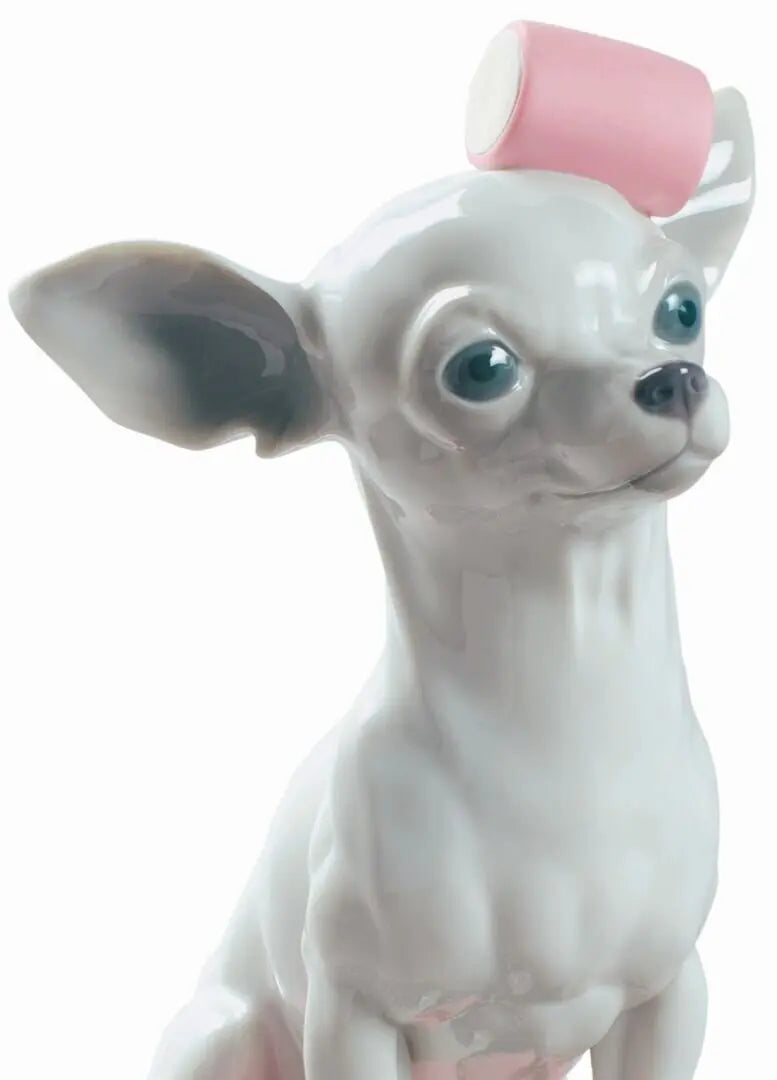 Lladró Chihuahua with Marshmallows Dog Figurine Sculpture by Lladró at FormFluent