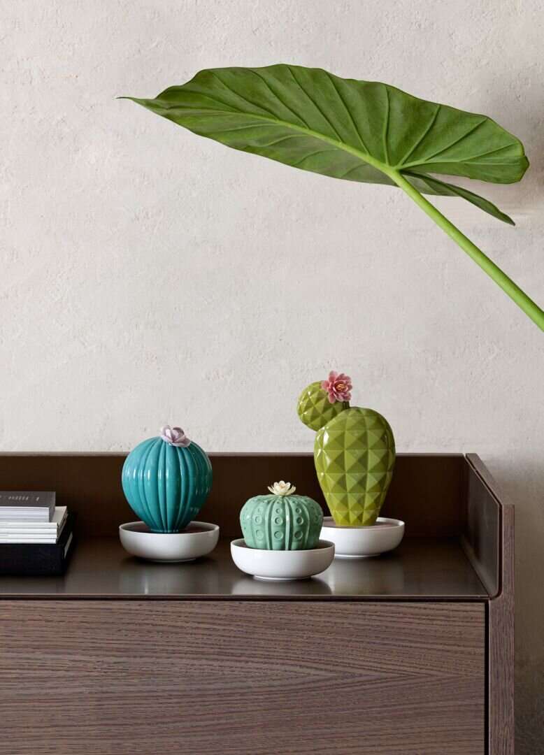 Lladró Astrophytum Cactus Diffuser by Lladró at FormFluent