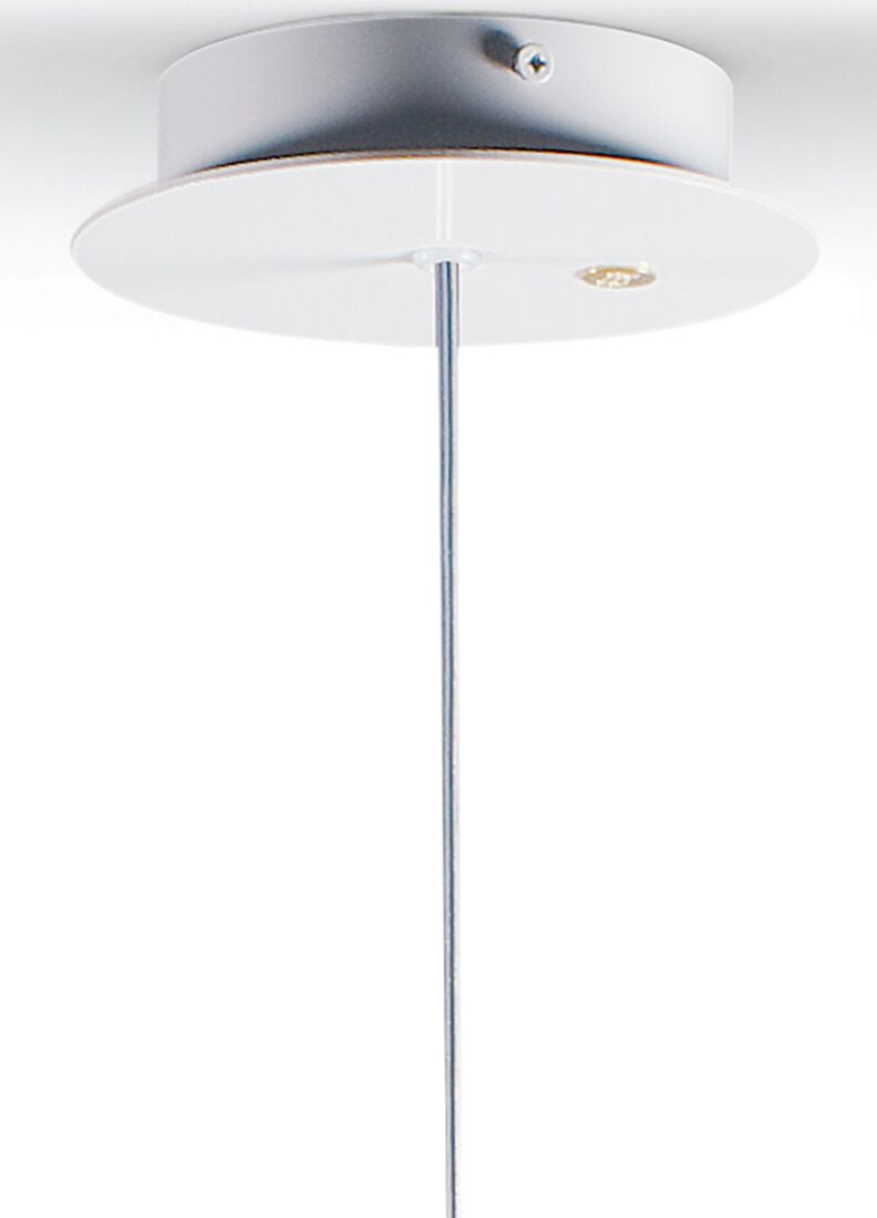 Belle de Nuit Ceiling Lamp with Lithophane
