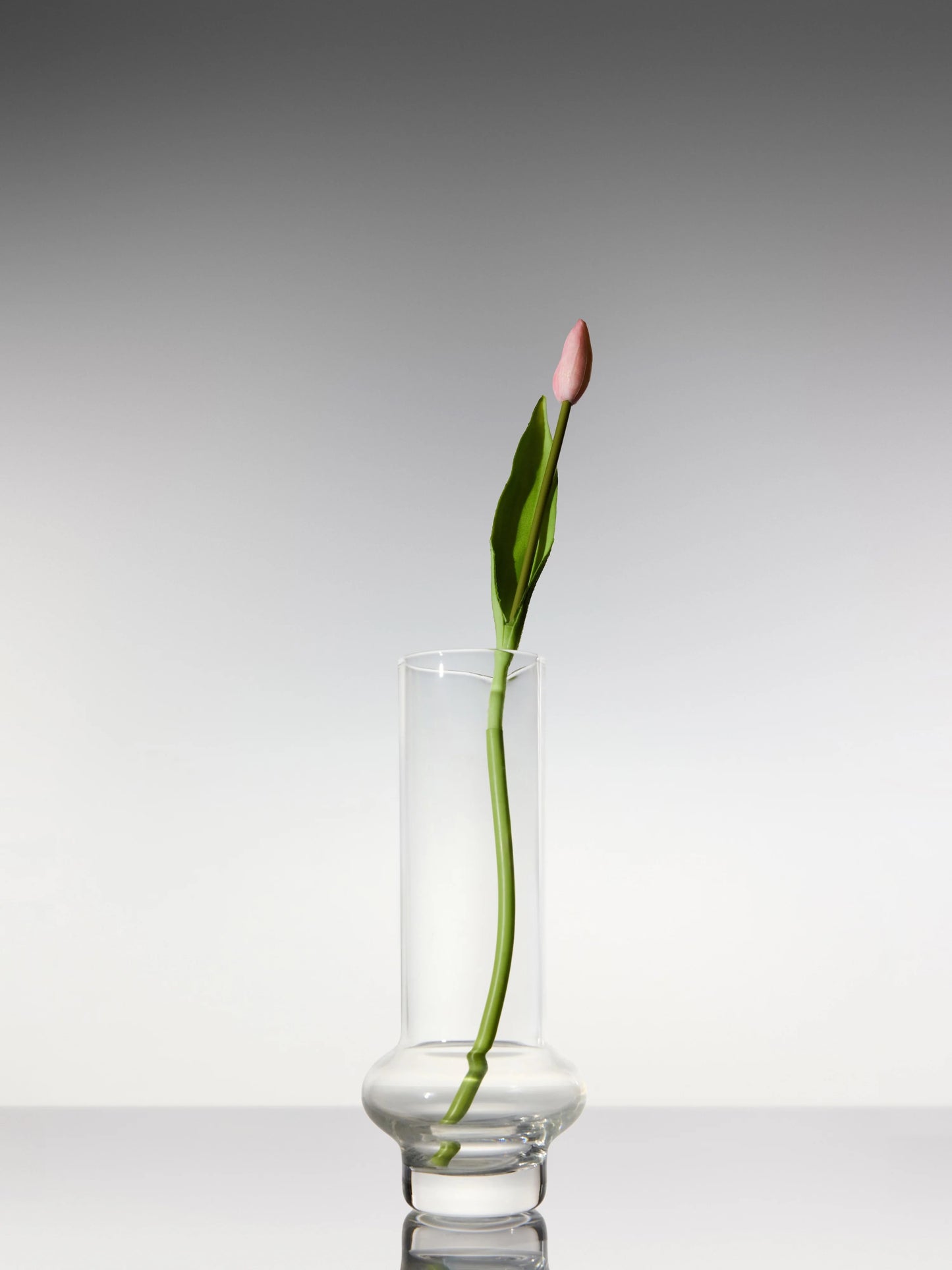 Sadele Tulips - Pale Pink Long Stem