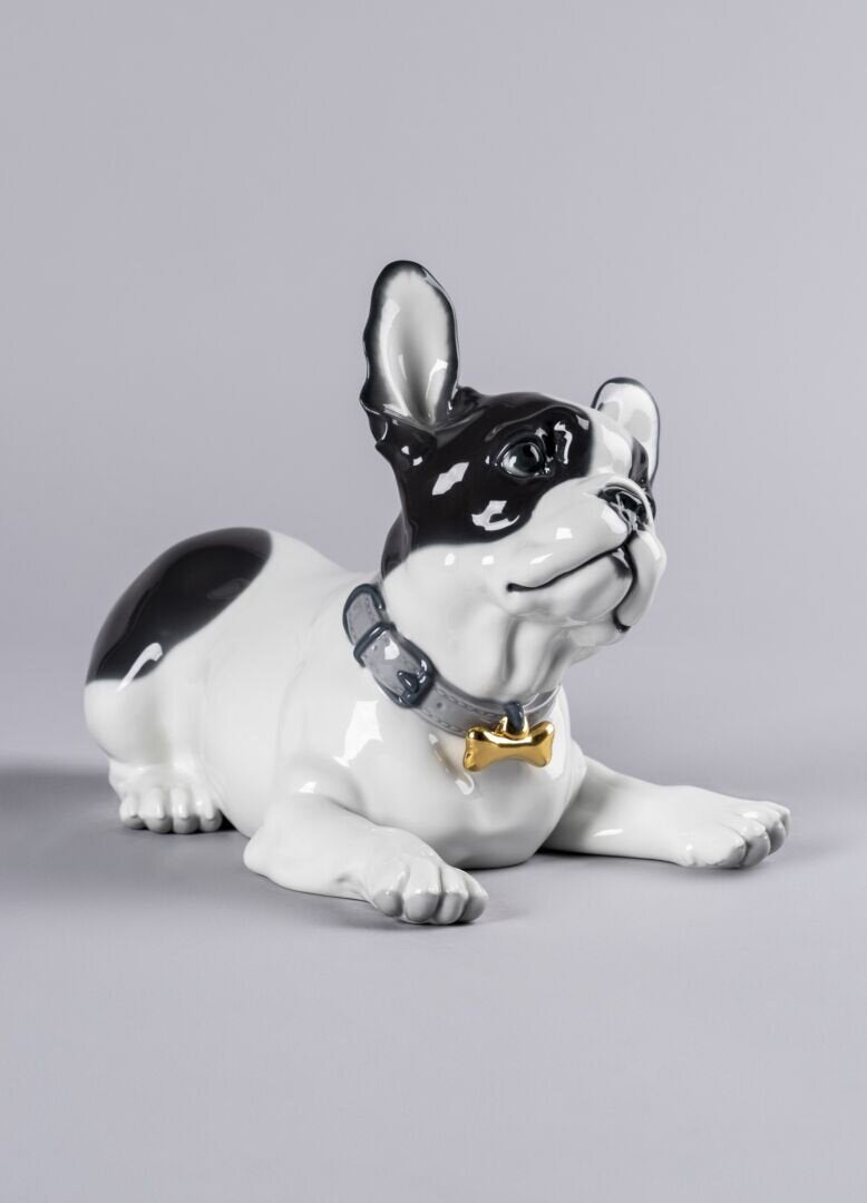 Lladró French Bulldog with Macarons Dog Figurine by Lladró at FormFluent