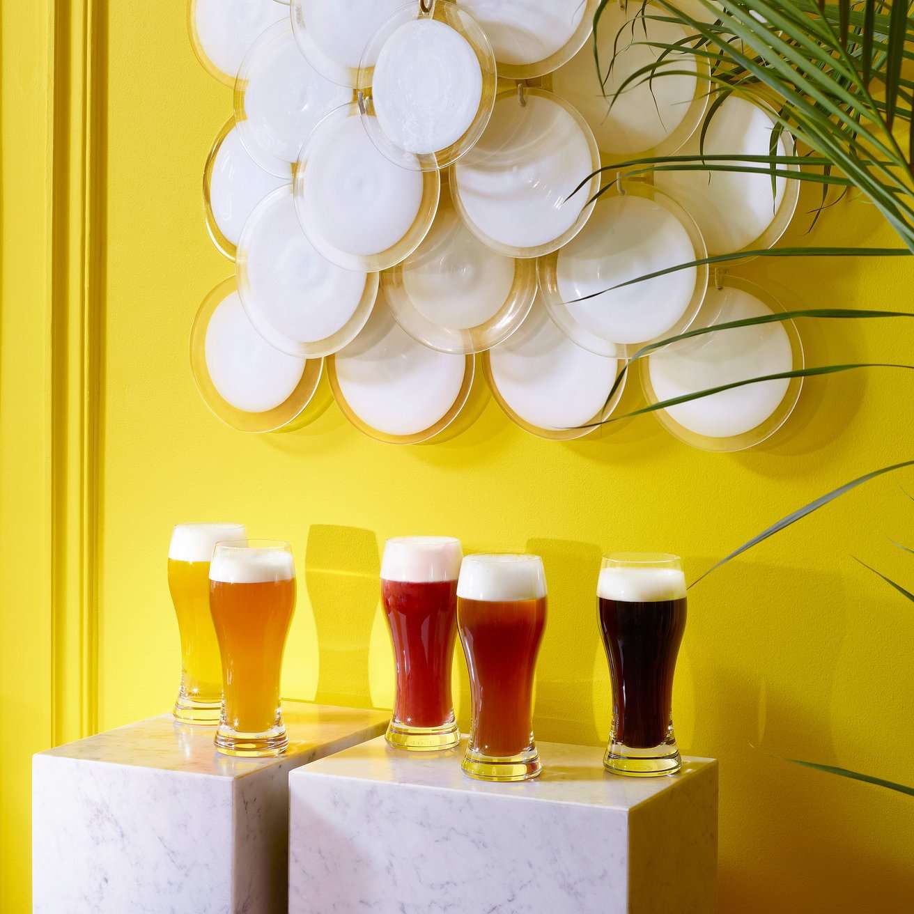 Baccarat Oenologie Beer Highball by Baccarat at FormFluent