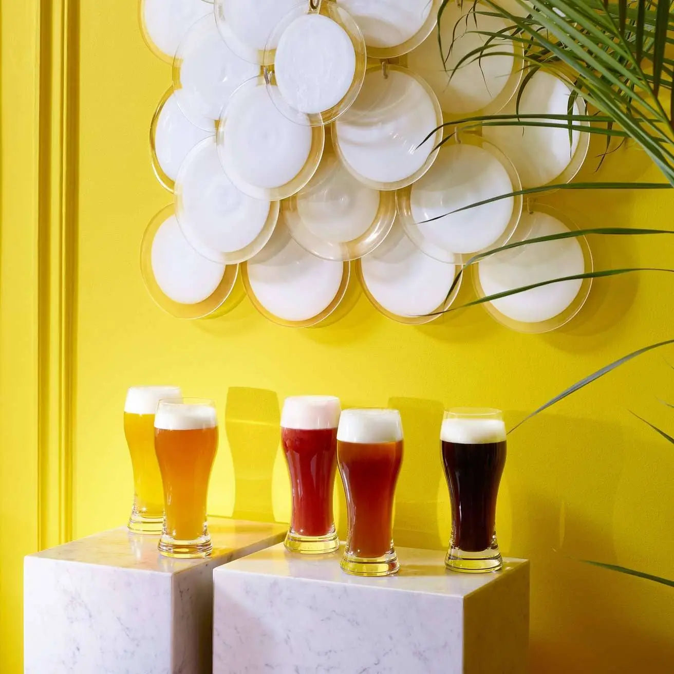 Baccarat Oenologie Beer Highball by Baccarat at FormFluent Sydney, Australia