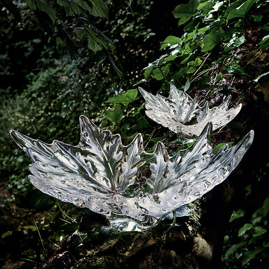 Lalique Champs-Élysées: The Secret History of the World’s Most Famous Crystal Bowl