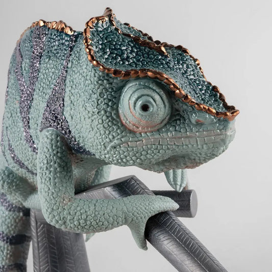 Colourful Language: How Chameleons Use Colour to Communicate by FormFluent 