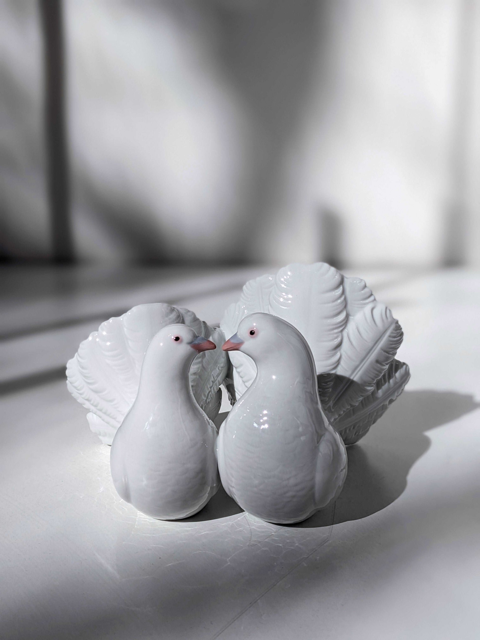 Couple of Doves Figurine - FormFluent