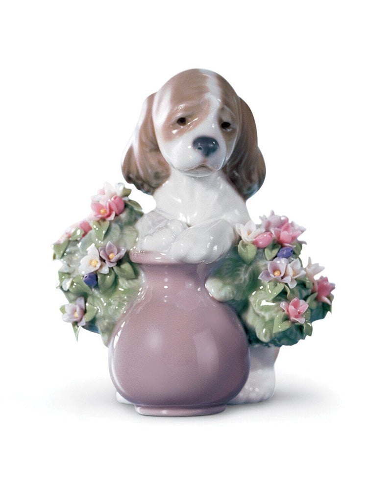  Lladró Take Me Home Dog Figurine Sculpture by Lladró at  FormFluent