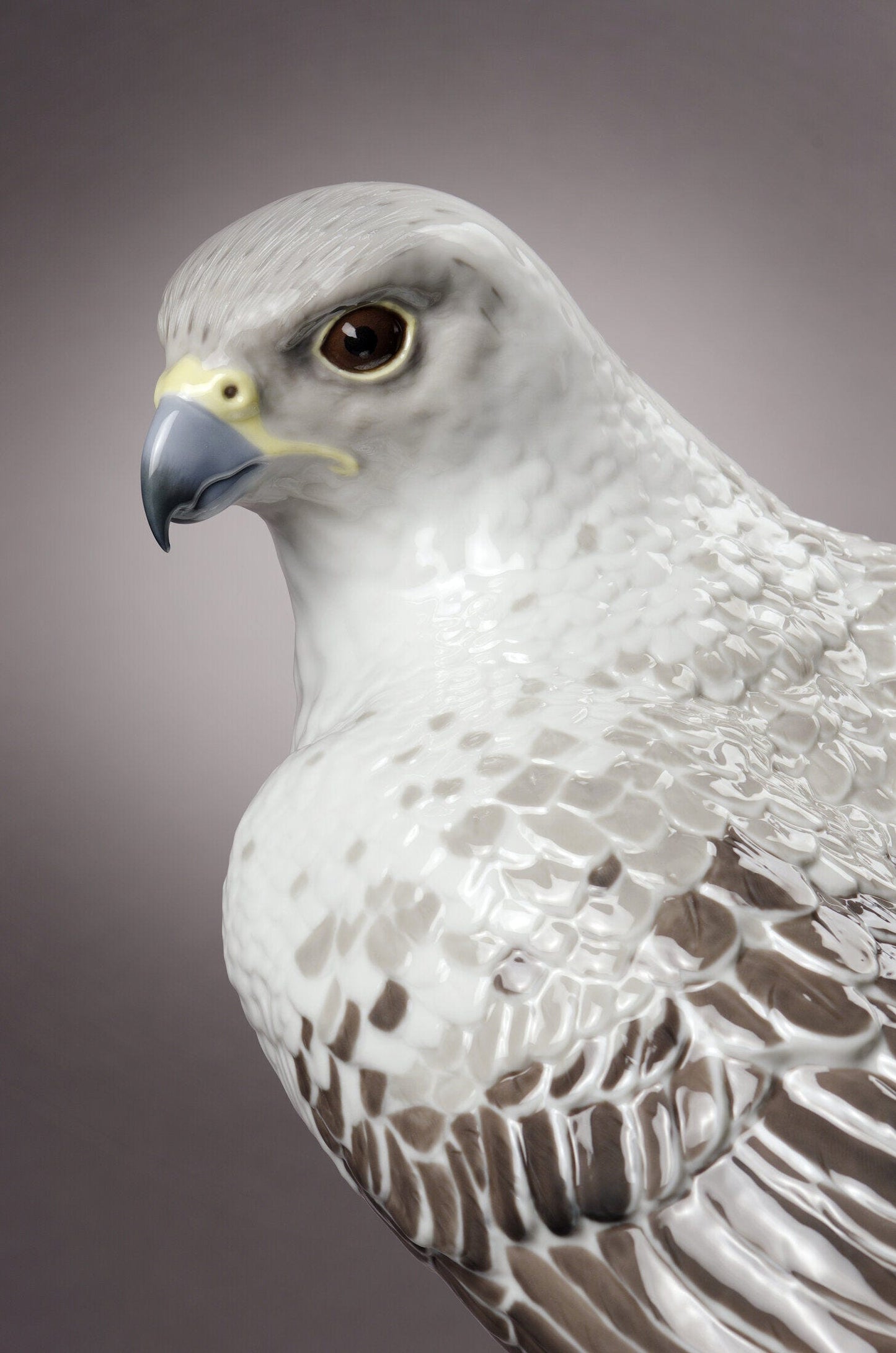 Gyrfalcon Sculpture Limited Edition