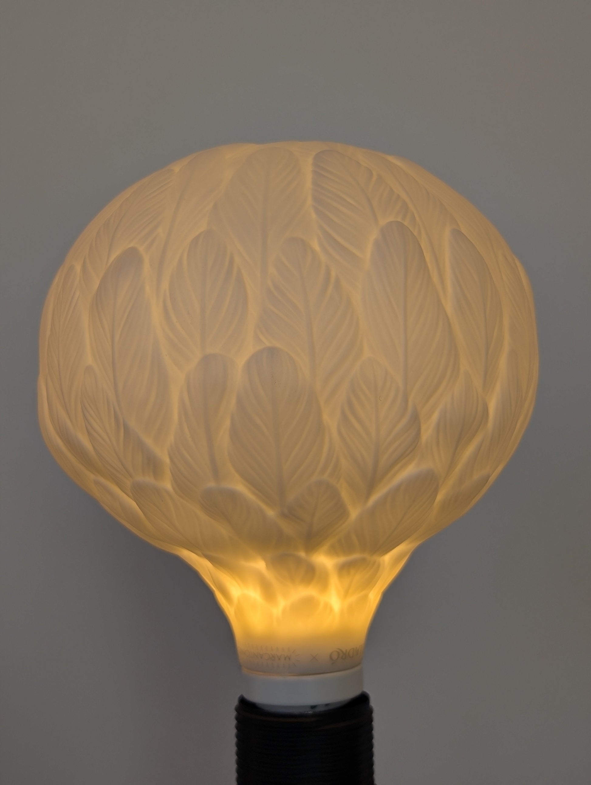 Lladró Lladró Feathers Bulb Lighting - FormFluent Sydney Australia