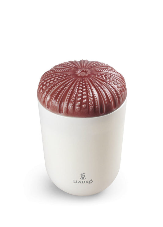 Lladró Echoes of Nature Decorative Candle - Mediterranean Beach Scent by Lladró at  FormFluent Sydney, Australia
