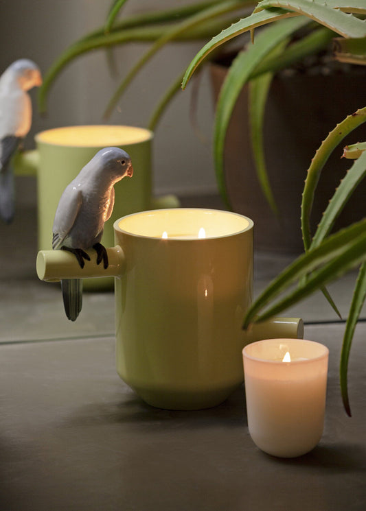 Lladró Parrot's Scented Treasure  Sculpture FormFluent