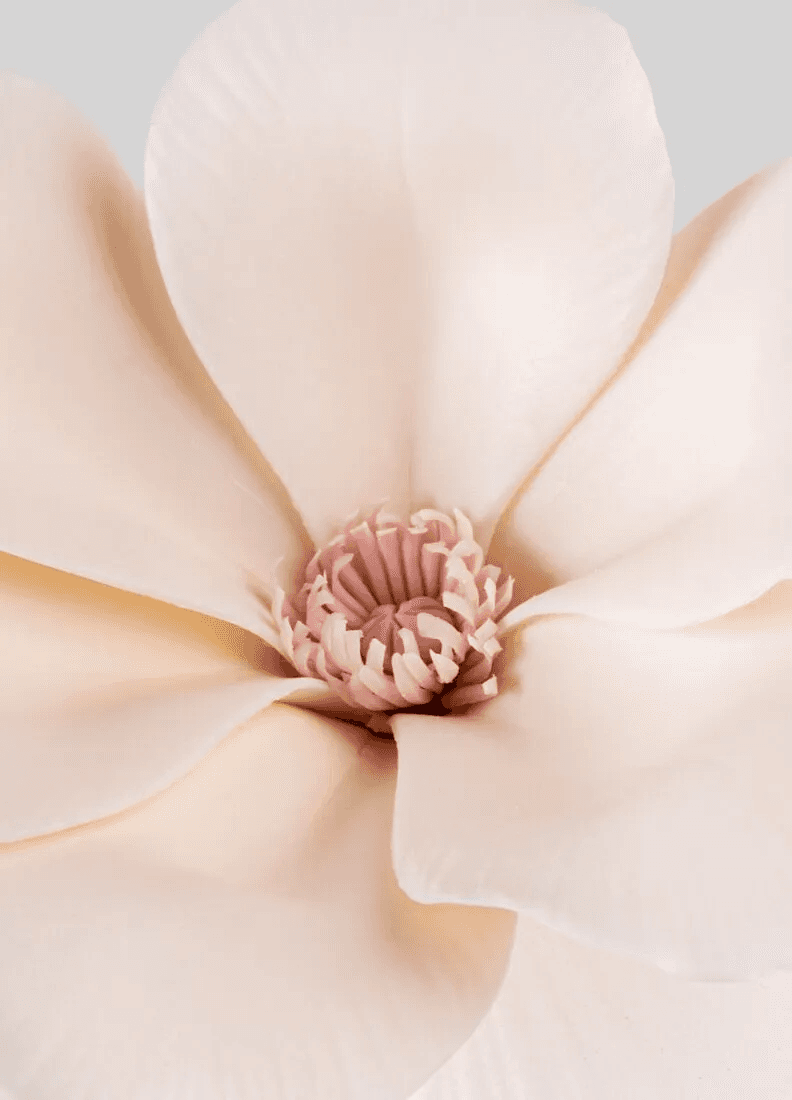 Lladró Ikebana Flower Scent by  Lladró at   FormFluent Sydney, Australia