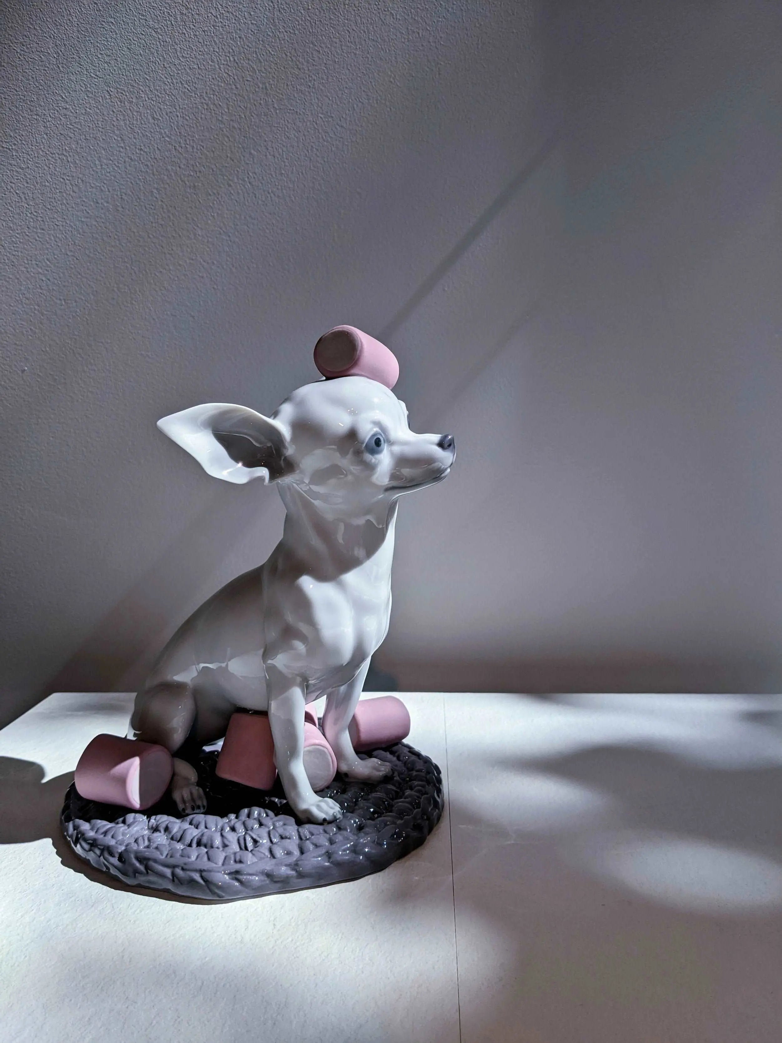 Chihuahua à Tête De Cerf Noir Et Blanc Chihuahua à Tête De Cerf Noir Et Blanc