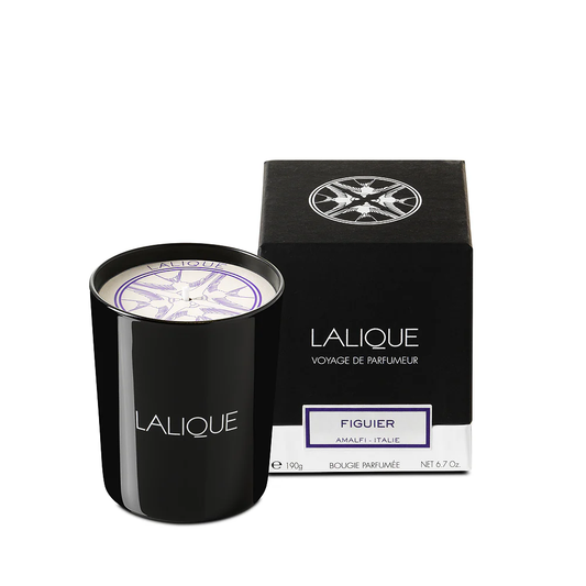 Buy Authentic Lalique Lalique Fig Tree Amalfi - Italy Scented Candle Candle - FormFluent Sydney Australia