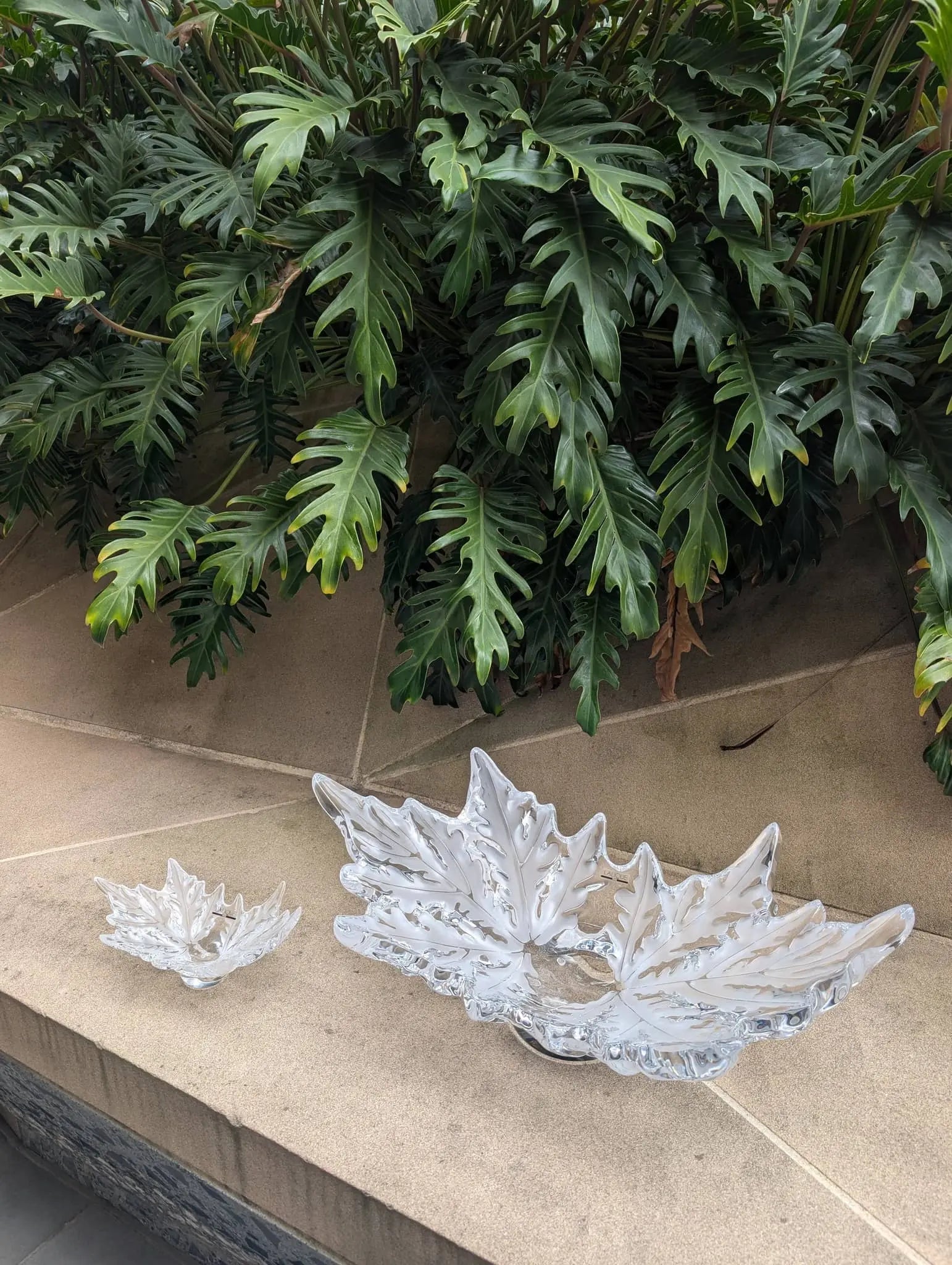  Lalique Champs-Élysées Grand Bowl Clear Crystal Bowl by Lalique at  FormFluent