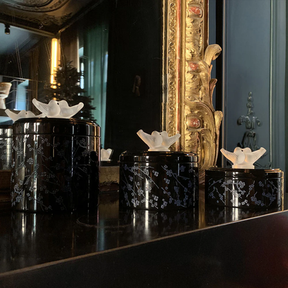 Lalique Fleurs de Cerisier Box Medium Size - Clear Crystal Black & Midnight Blue Lacquered Wood Organiser by  Lalique at   FormFluent Sydney, Australia