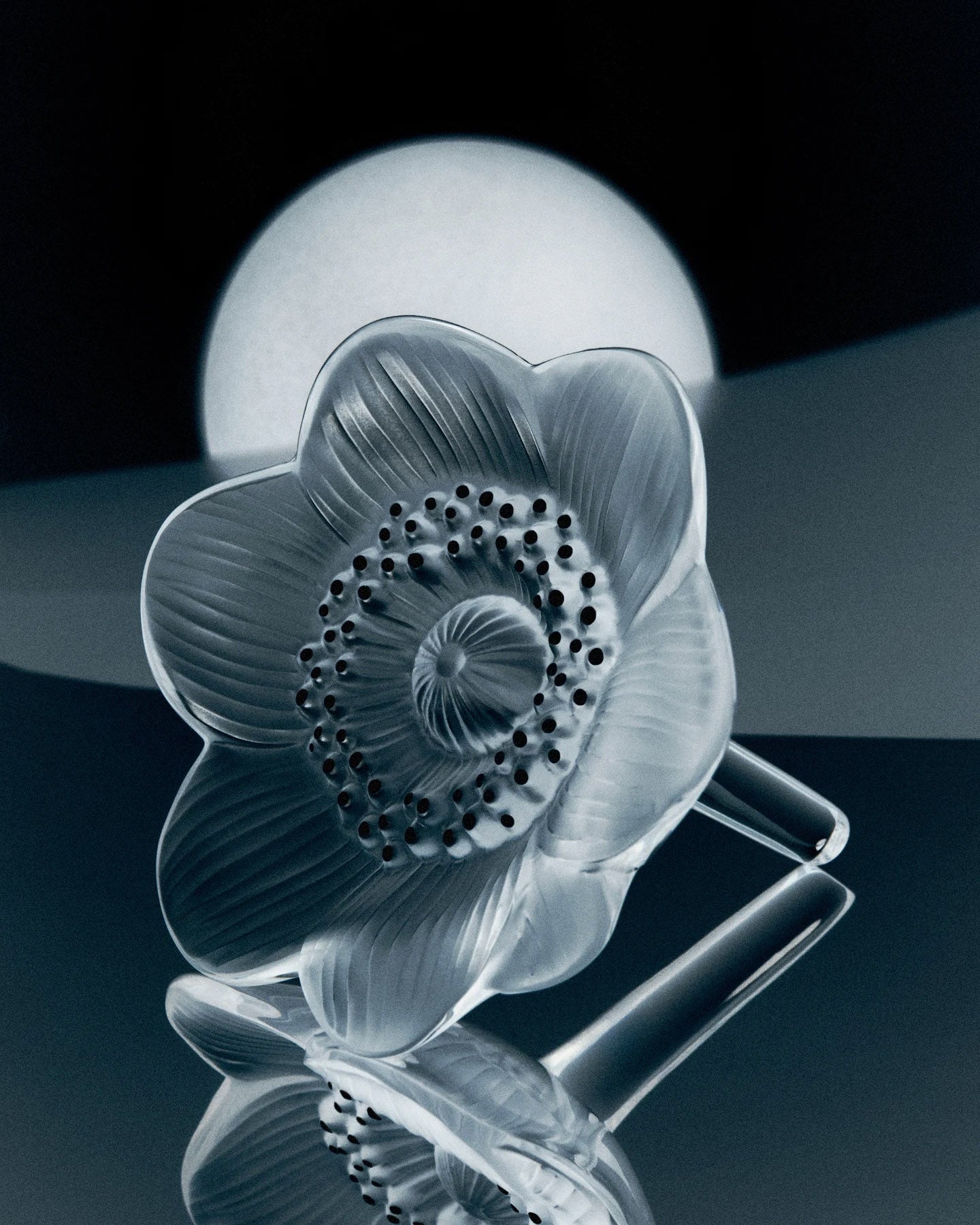 Lalique Anemone Flower Sculpture - Clear Crystal