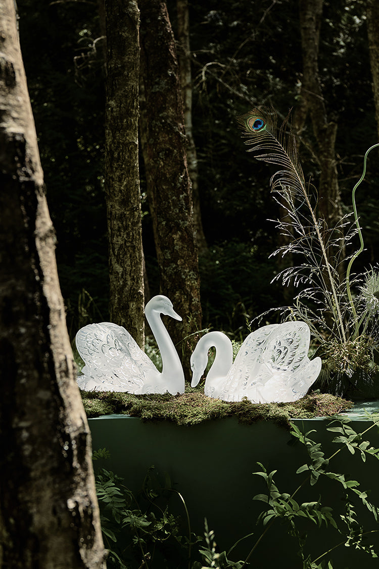 Buy Authentic Lalique Lalique Swan Head Down Crystal Sculpture Sculpture - FormFluent Sydney Australia