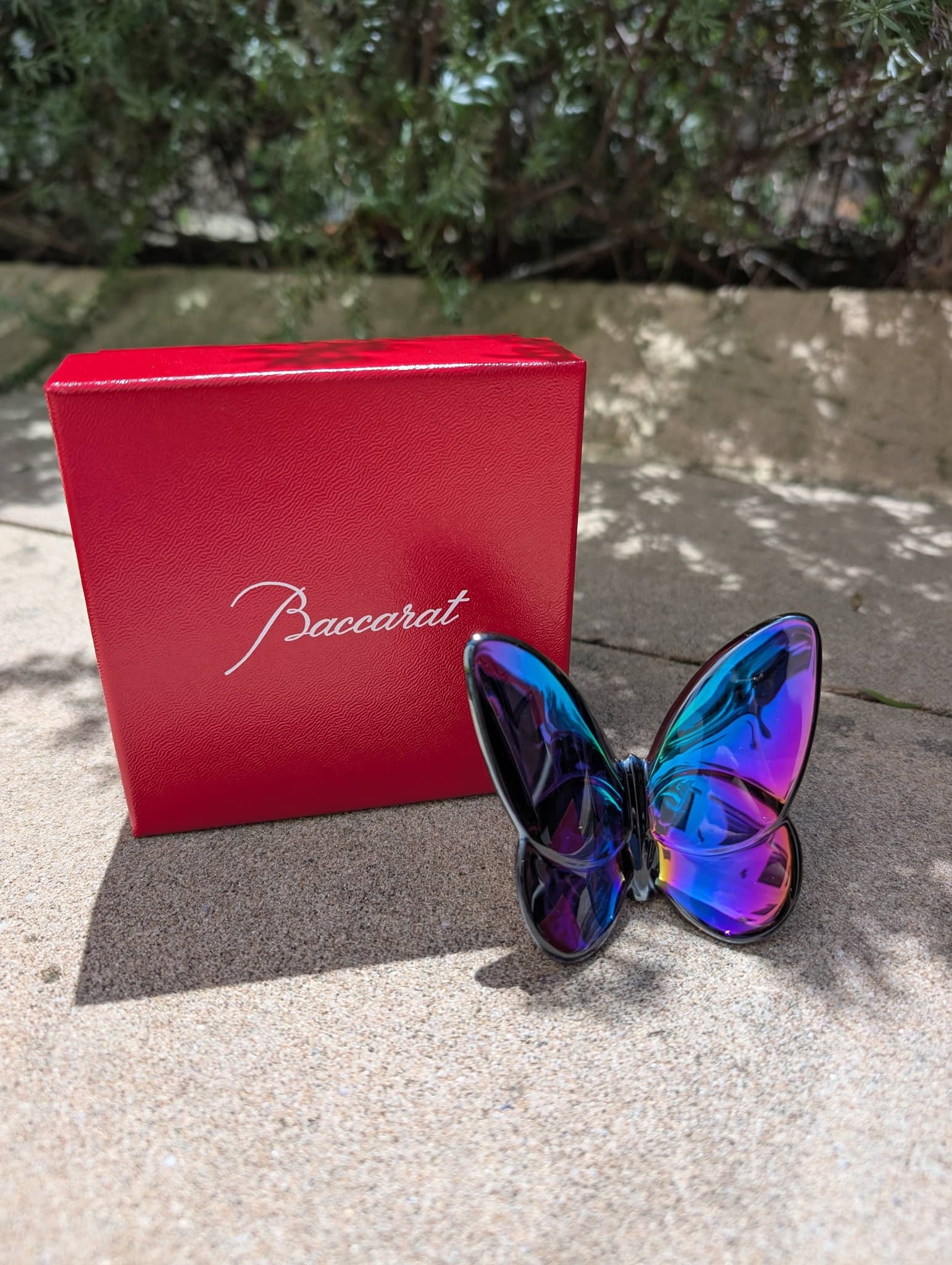 Baccarat Lucky Butterfly Blue Scarabee Crystal | Formfluent