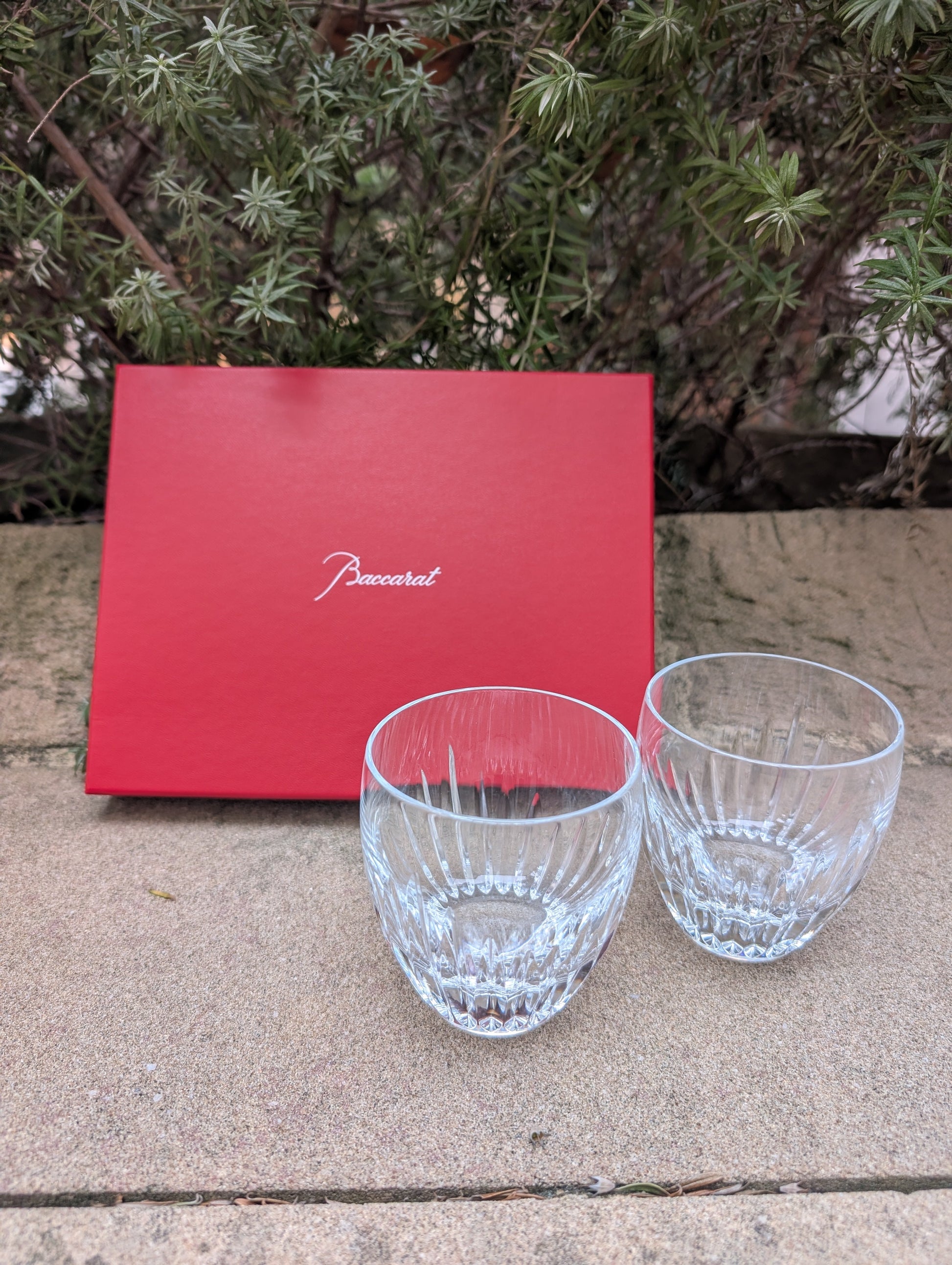 Buy Authentic Baccarat Baccarat Masséna Tumblers Medium (Set of 2) Barware - FormFluent Sydney Australia