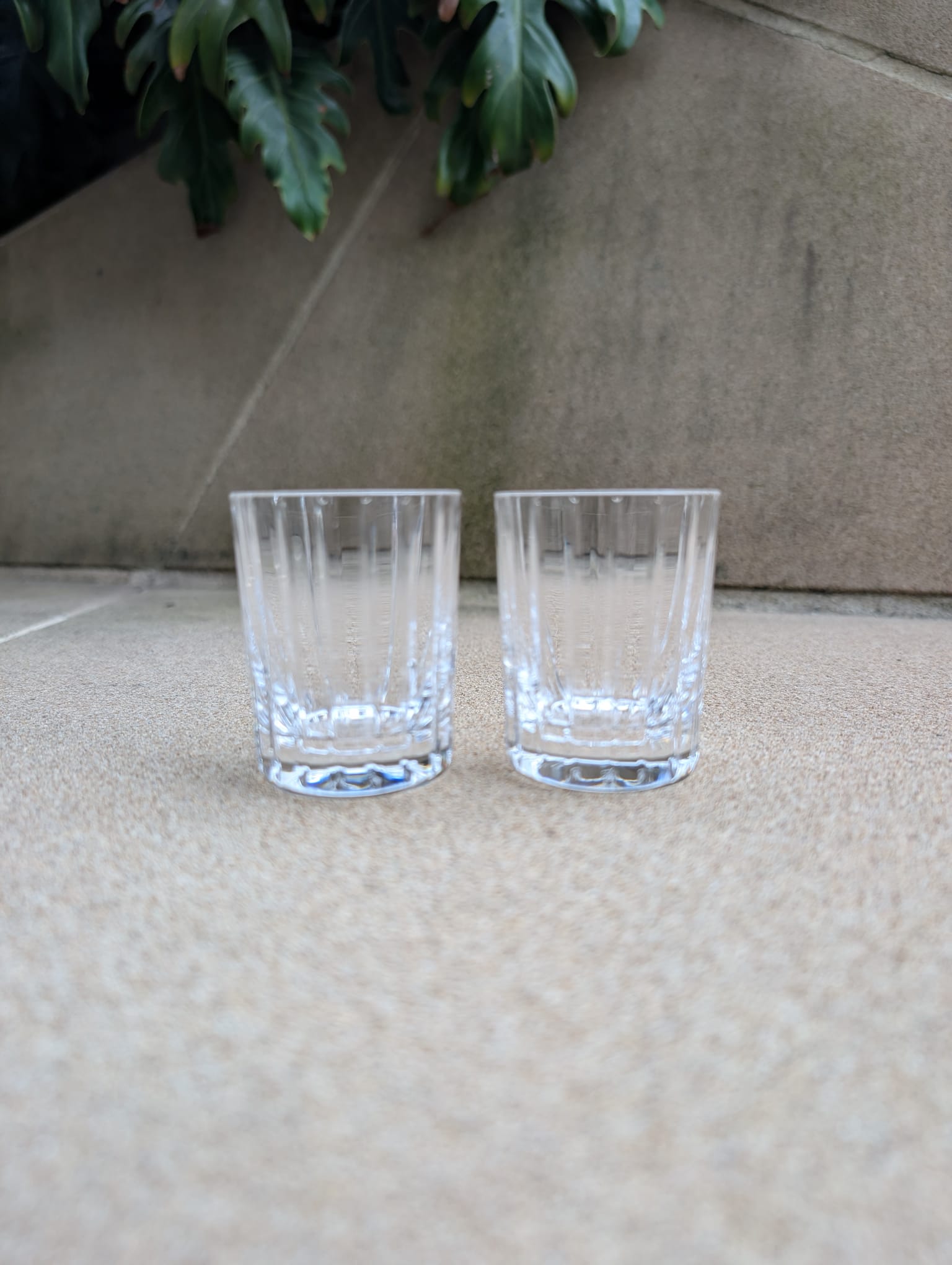 Baccarat Harmonie Tumblers Extra Small (Set of 2) - FormFluent