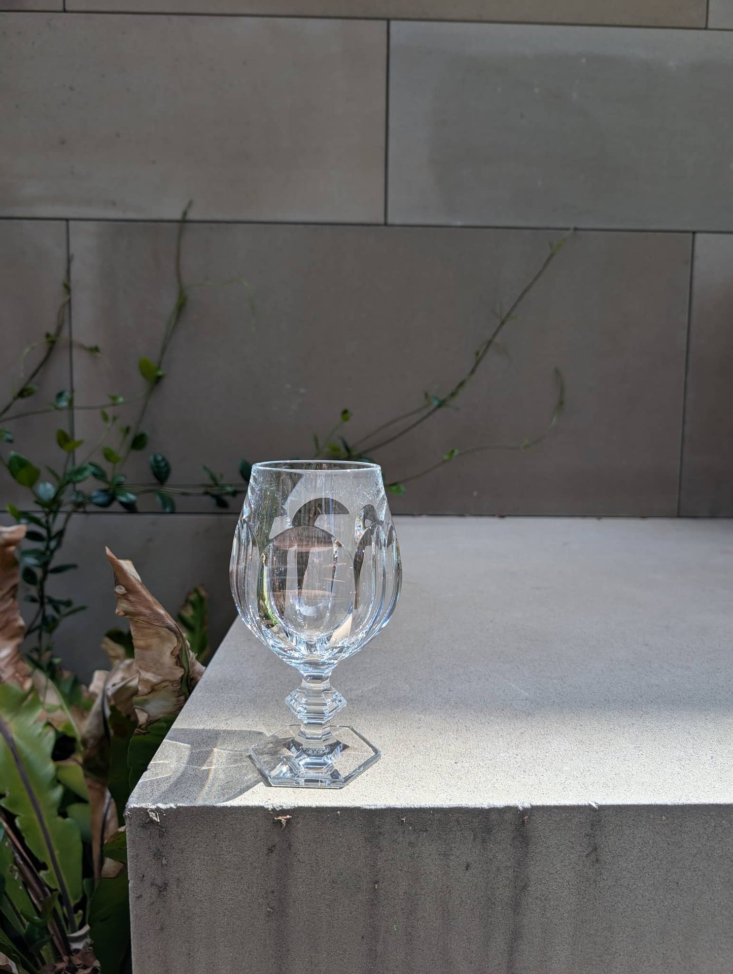  Baccarat Harcourt Proost Beer Glass Barware by Baccarat at  FormFluent