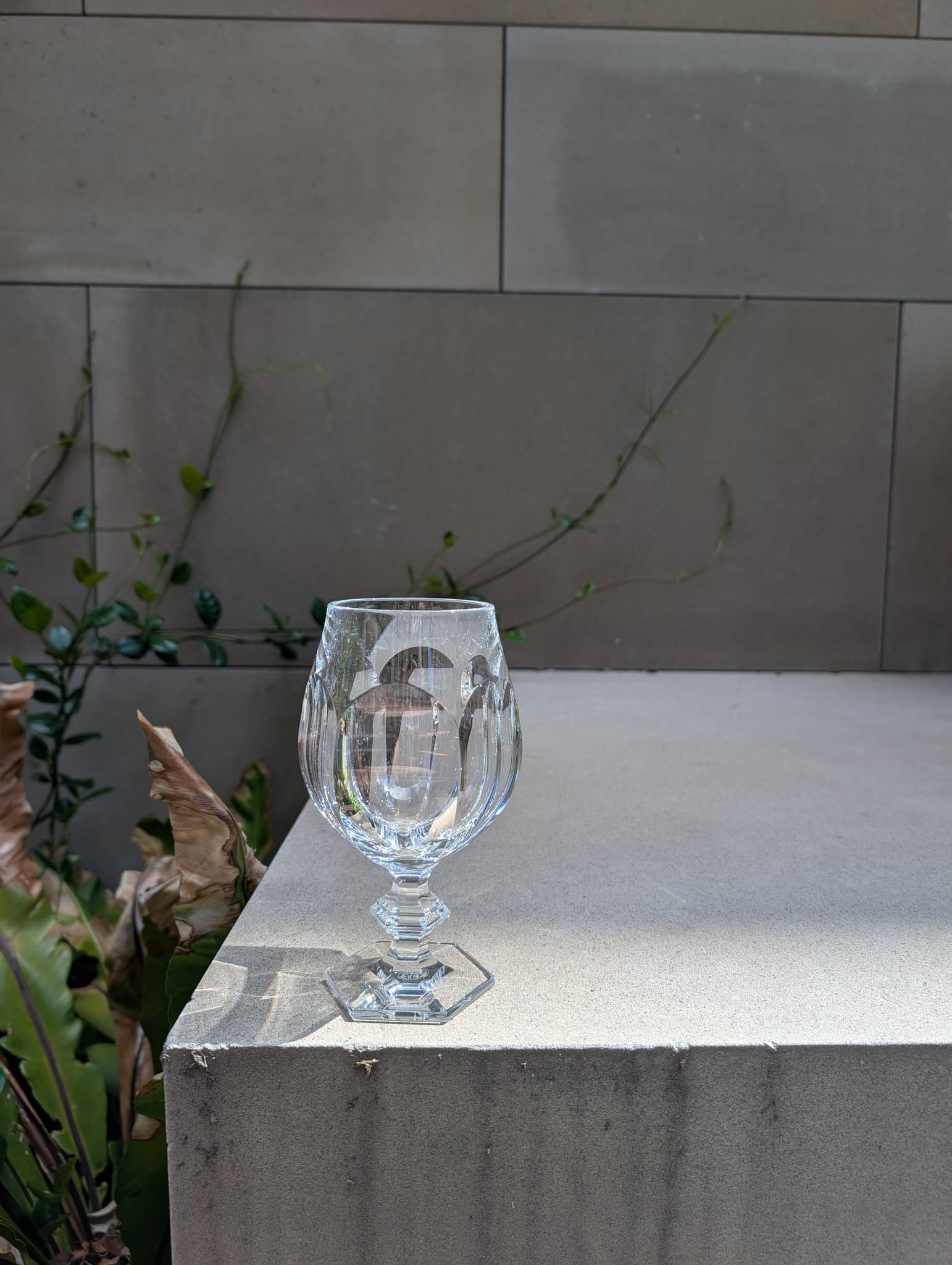  Baccarat Harcourt Proost Beer Glass Barware by Baccarat at  FormFluent