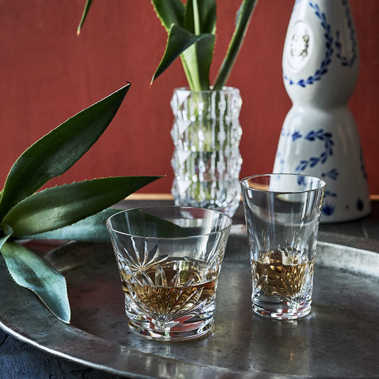 Baccarat Baccarat Everyday Lutetia Tumblers (Set of 2)  - FormFluent Sydney Australia