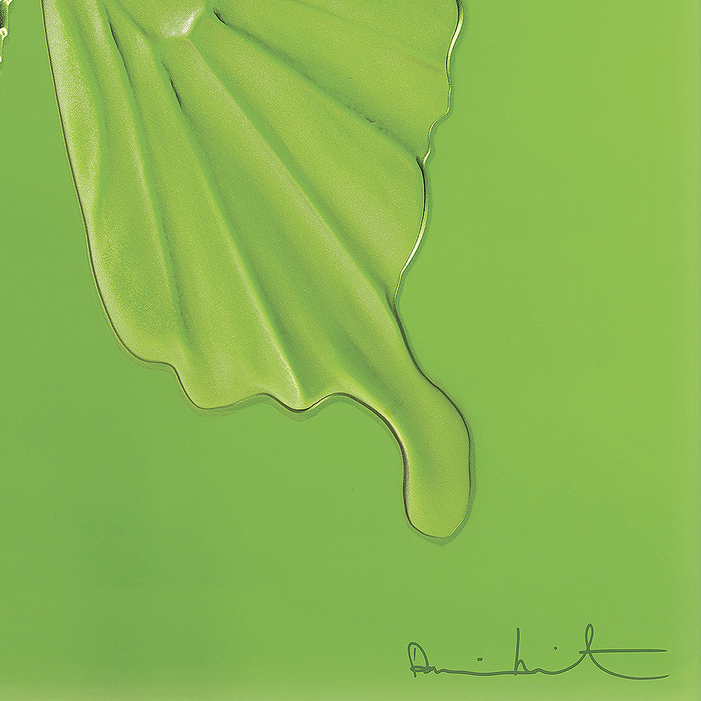  Lalique Eternal Beauty Butterfly Damien Hirst Green Crystal Limited Edition  by Lalique at  FormFluent