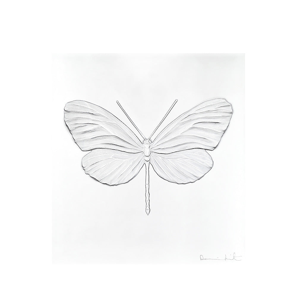 Lalique Eternal Hope Dragonfly Damien Hirst Black Crystal Limited Edition