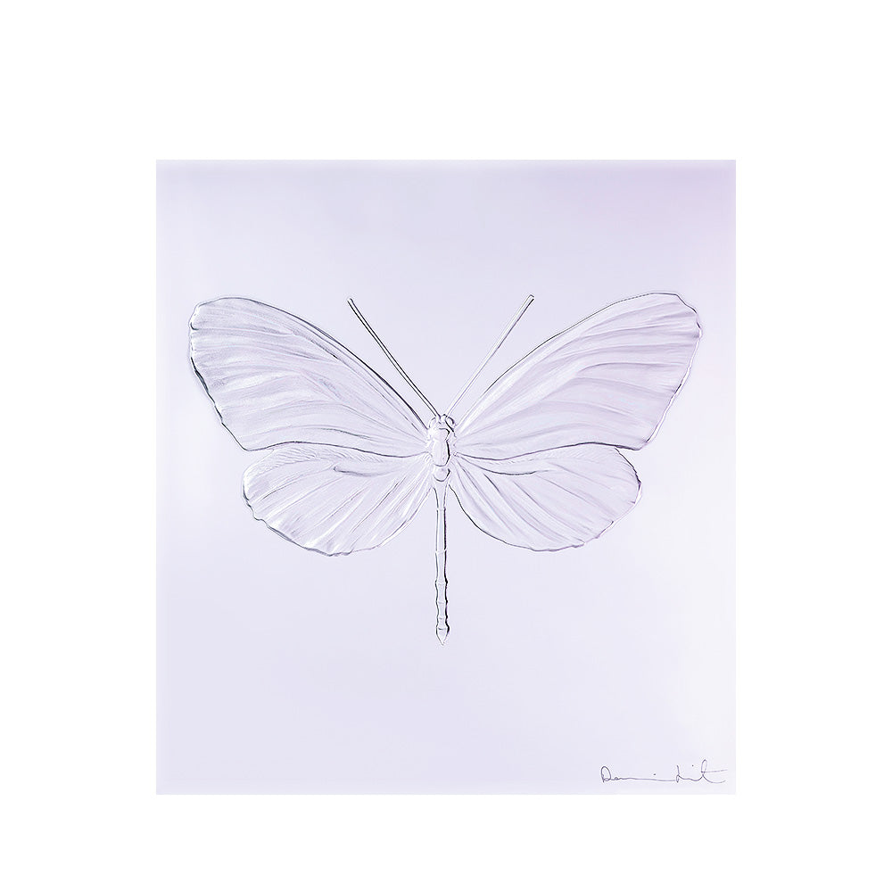 Lalique Eternal Hope Dragonfly Damien Hirst Black Crystal Limited Edition
