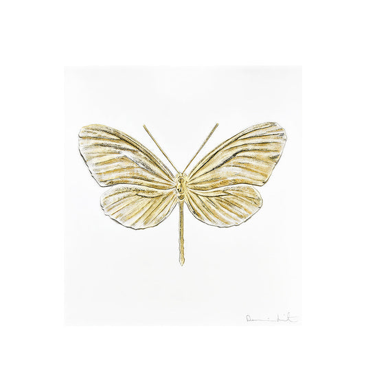 Lalique Eternal Hope Dragonfly Damien Hirst Clear Crystal Gold Stamped Limited Edition
