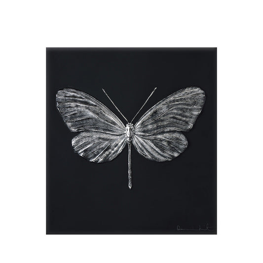 Lalique Eternal Hope Dragonfly Damien Hirst Black Crystal Platinum Stamped Limited Edition