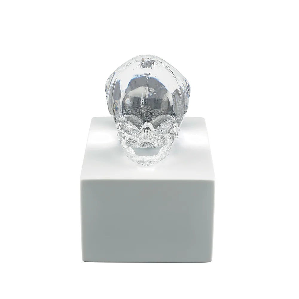  Lalique Eternal Memory Damien Hirst Satin Clear Crystal Lost Wax Sculpture by Lalique at  FormFluent