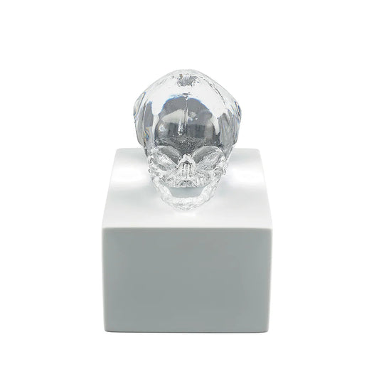  Lalique Eternal Memory Damien Hirst Satin Clear Crystal Lost Wax Sculpture by Lalique at  FormFluent