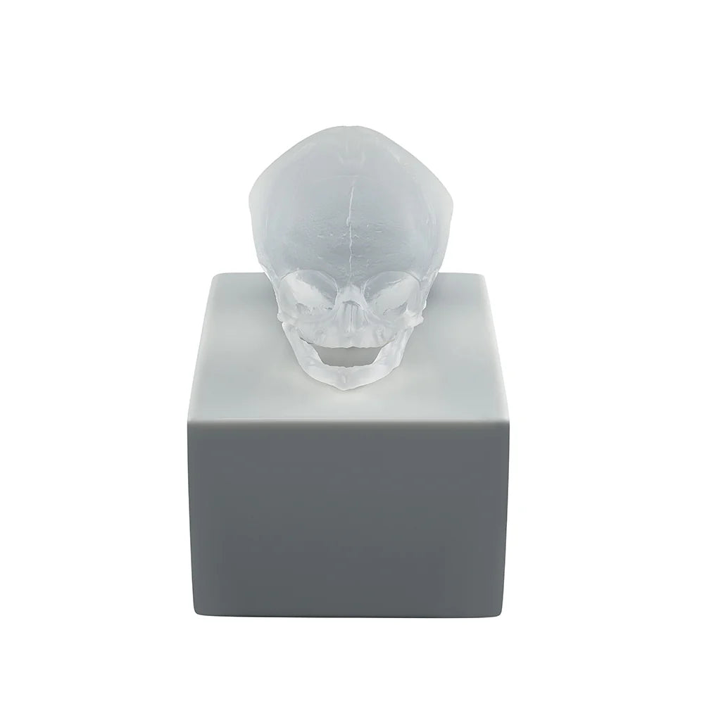  Lalique Eternal Memory Damien Hirst Satin Clear Crystal Lost Wax Sculpture by Lalique at  FormFluent
