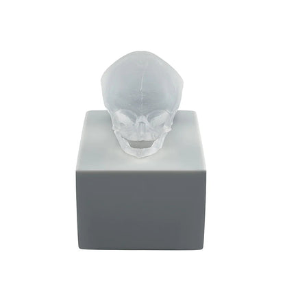 Lalique Eternal Memory Damien Hirst Satin Clear Crystal Lost Wax Limited Edition Sculpture by  Lalique at   FormFluent Sydney, Australia