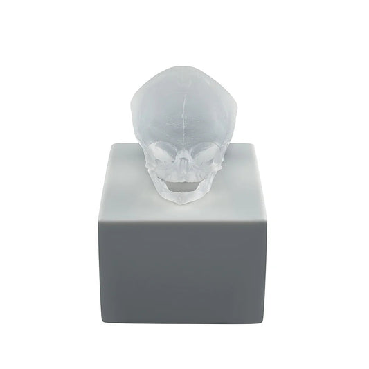  Lalique Eternal Memory Damien Hirst Satin Clear Crystal Lost Wax Sculpture by Lalique at  FormFluent
