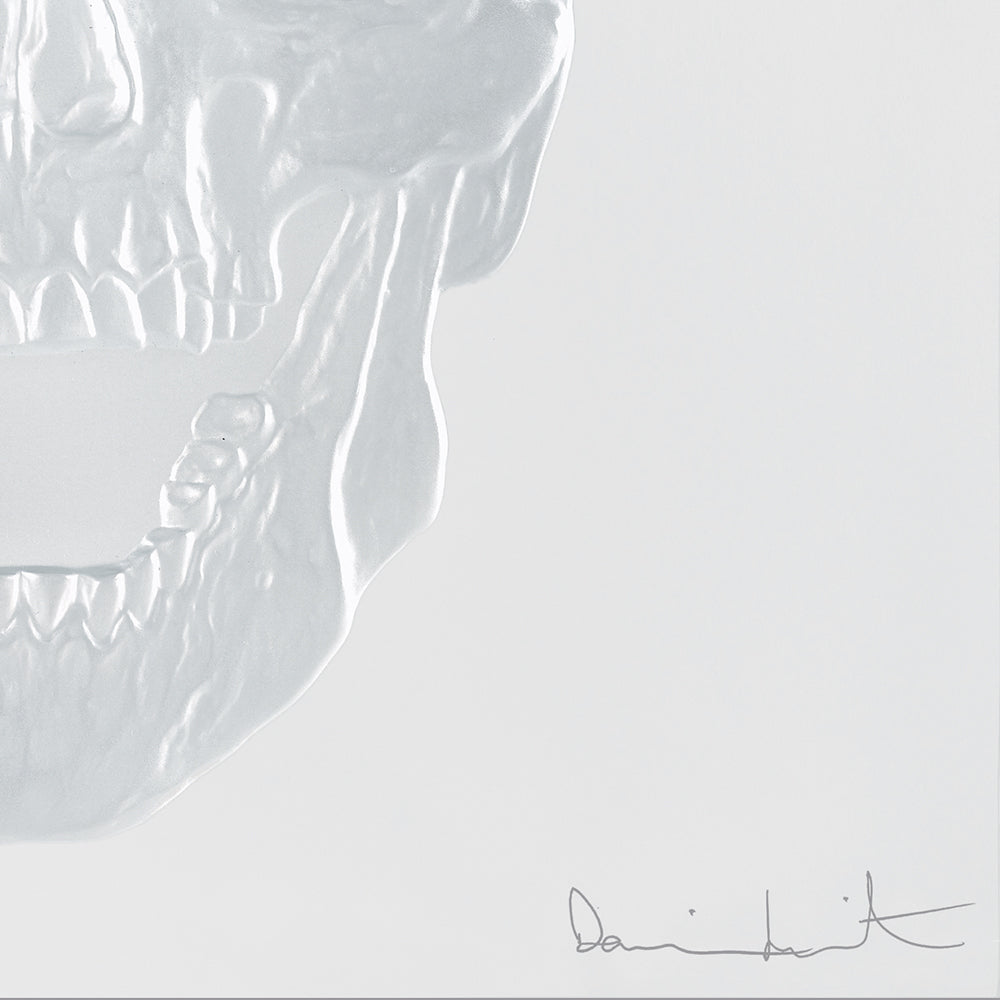  Lalique Eternal Memento Skull Damien Hirst Clear Crystal Platinum Stamped Limited Edition Sculpture by Lalique at  FormFluent