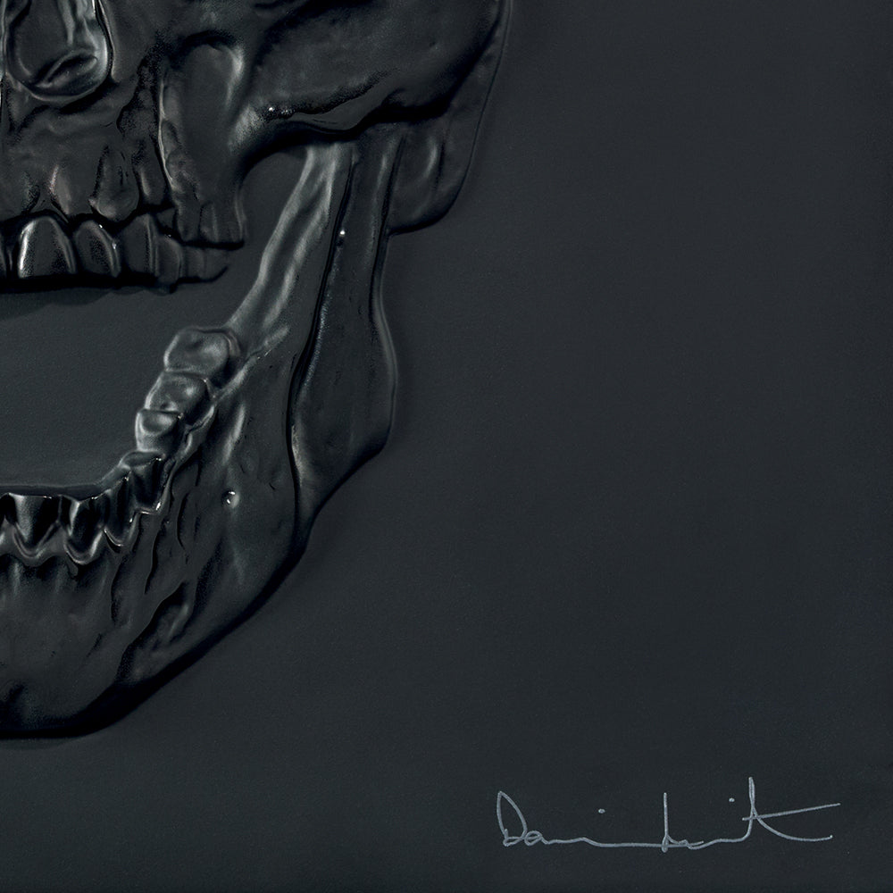  Lalique Eternal Memento Skull Damien Hirst Black Crystal Platinum Stamped Limited Edition Sculpture by Lalique at  FormFluent