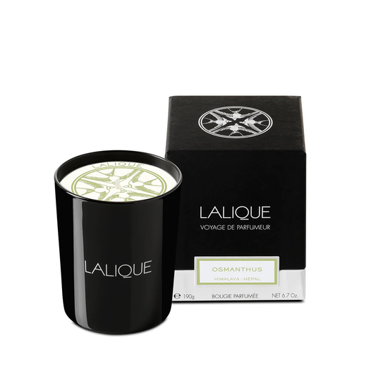 Buy Authentic Lalique Lalique Osmanthus Himalaya - Nepal Scented Candle Candle - FormFluent Sydney Australia