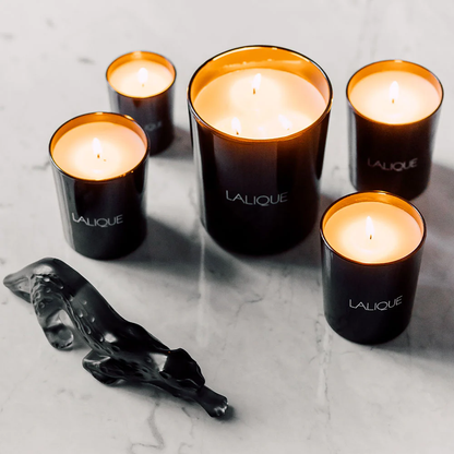 Lalique Néroli Casablanca - Morocco Scented Candle (Large 600g) Candle by  Lalique at   FormFluent Sydney, Australia