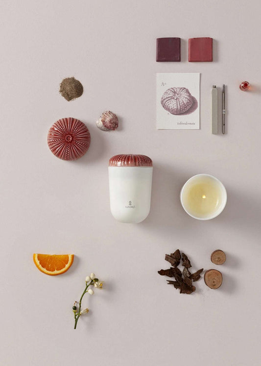  Lladró Echoes of Nature Decorative Candle - I love you, Mom Scent by Lladró at  FormFluent
