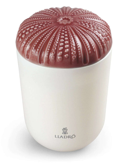  Lladró Echoes of Nature Decorative Candle - I love you, Mom Scent by Lladró at  FormFluent