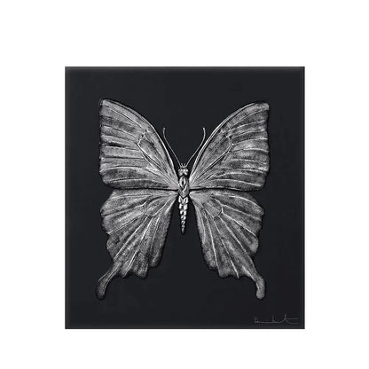 Lalique Eternal Beauty Butterfly Damien Hirst Black Crystal Limited Edition Sculpture by  Lalique at   FormFluent Sydney, Australia